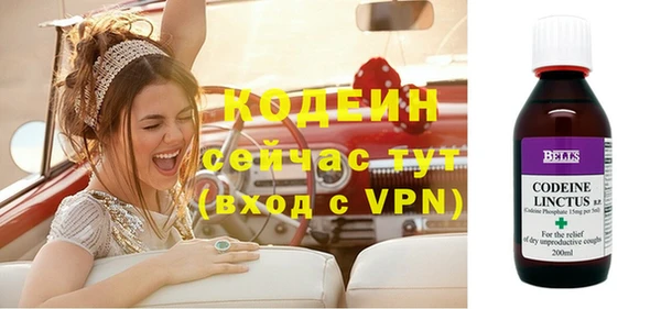стафф Вяземский