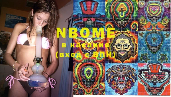 ПСИЛОЦИБИНОВЫЕ ГРИБЫ Вязники