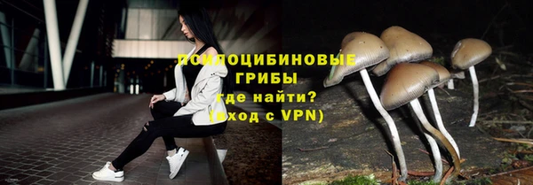 стафф Вяземский