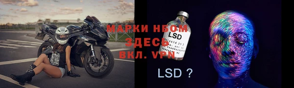 ПСИЛОЦИБИНОВЫЕ ГРИБЫ Вязники