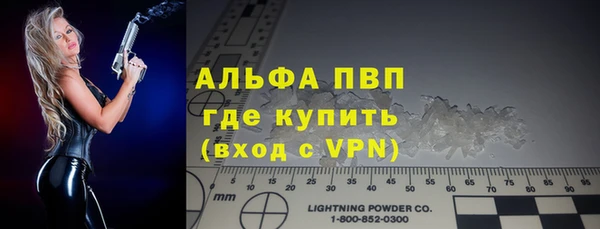 ПСИЛОЦИБИНОВЫЕ ГРИБЫ Вязники