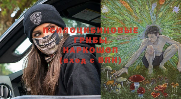стафф Вяземский