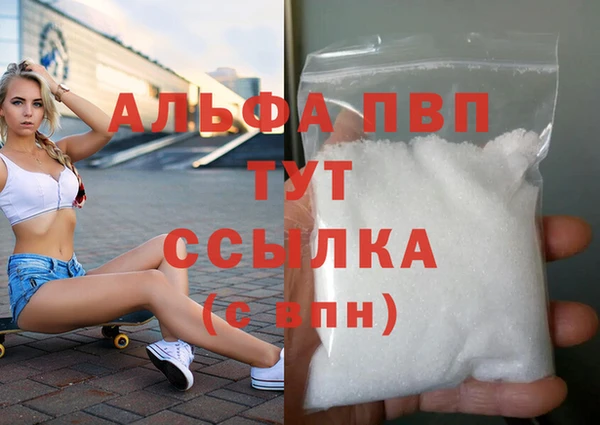 ПСИЛОЦИБИНОВЫЕ ГРИБЫ Вязники
