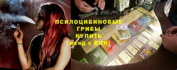ПСИЛОЦИБИНОВЫЕ ГРИБЫ Вязники