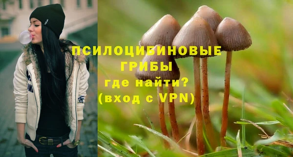 ПСИЛОЦИБИНОВЫЕ ГРИБЫ Вязники