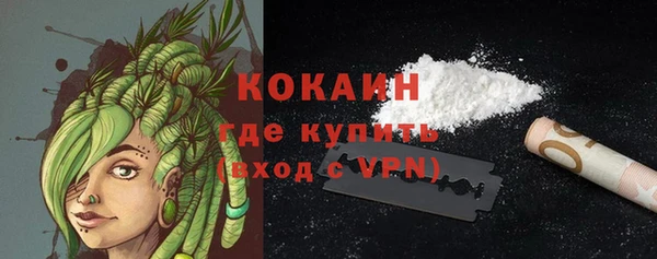 стафф Вяземский